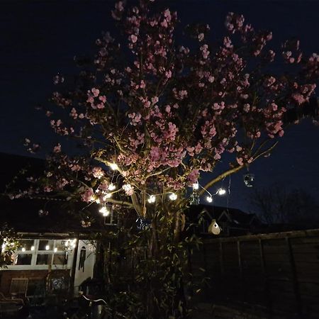 Lotus Pod House Homestay Horsell Esterno foto