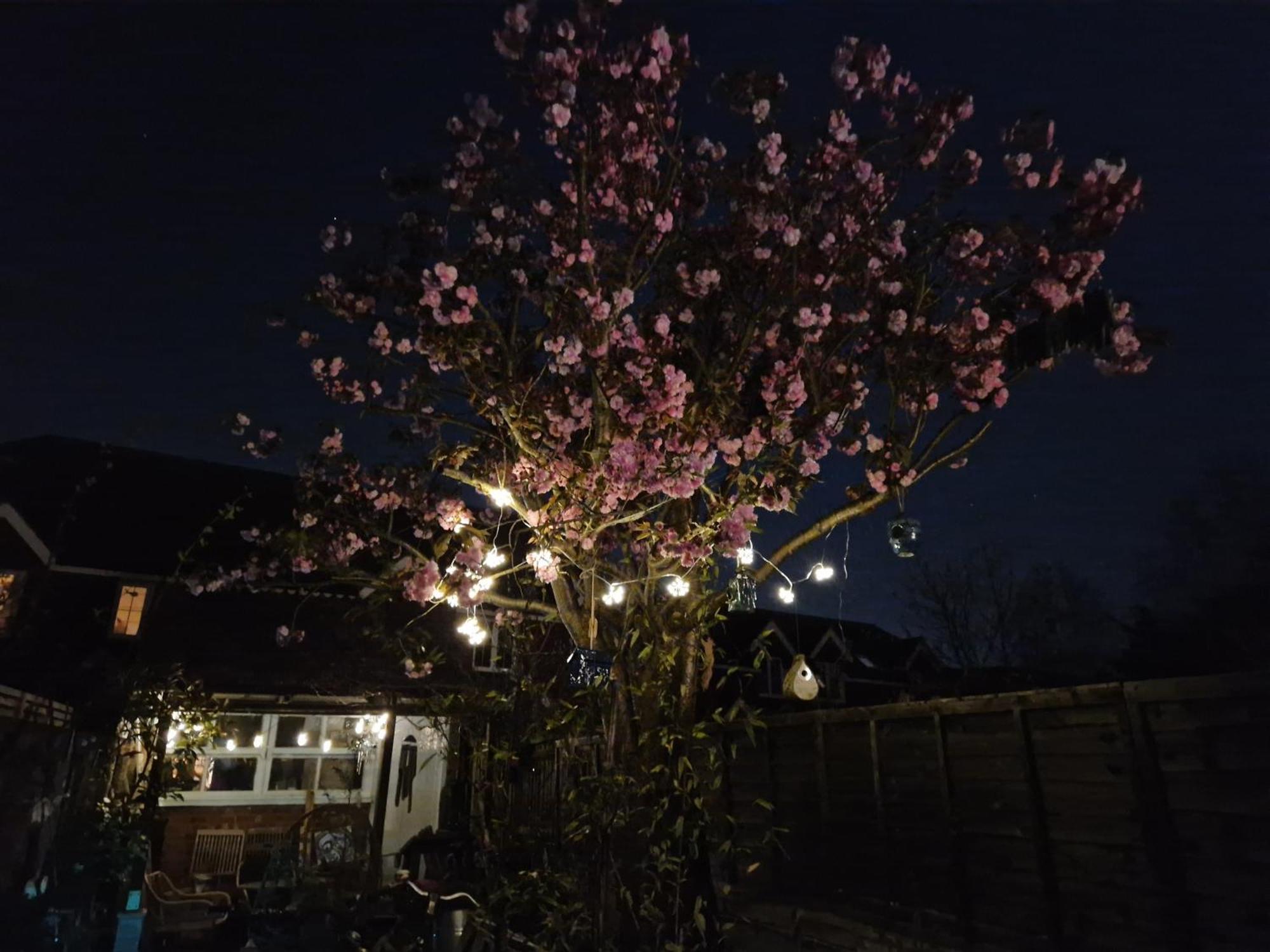 Lotus Pod House Homestay Horsell Esterno foto