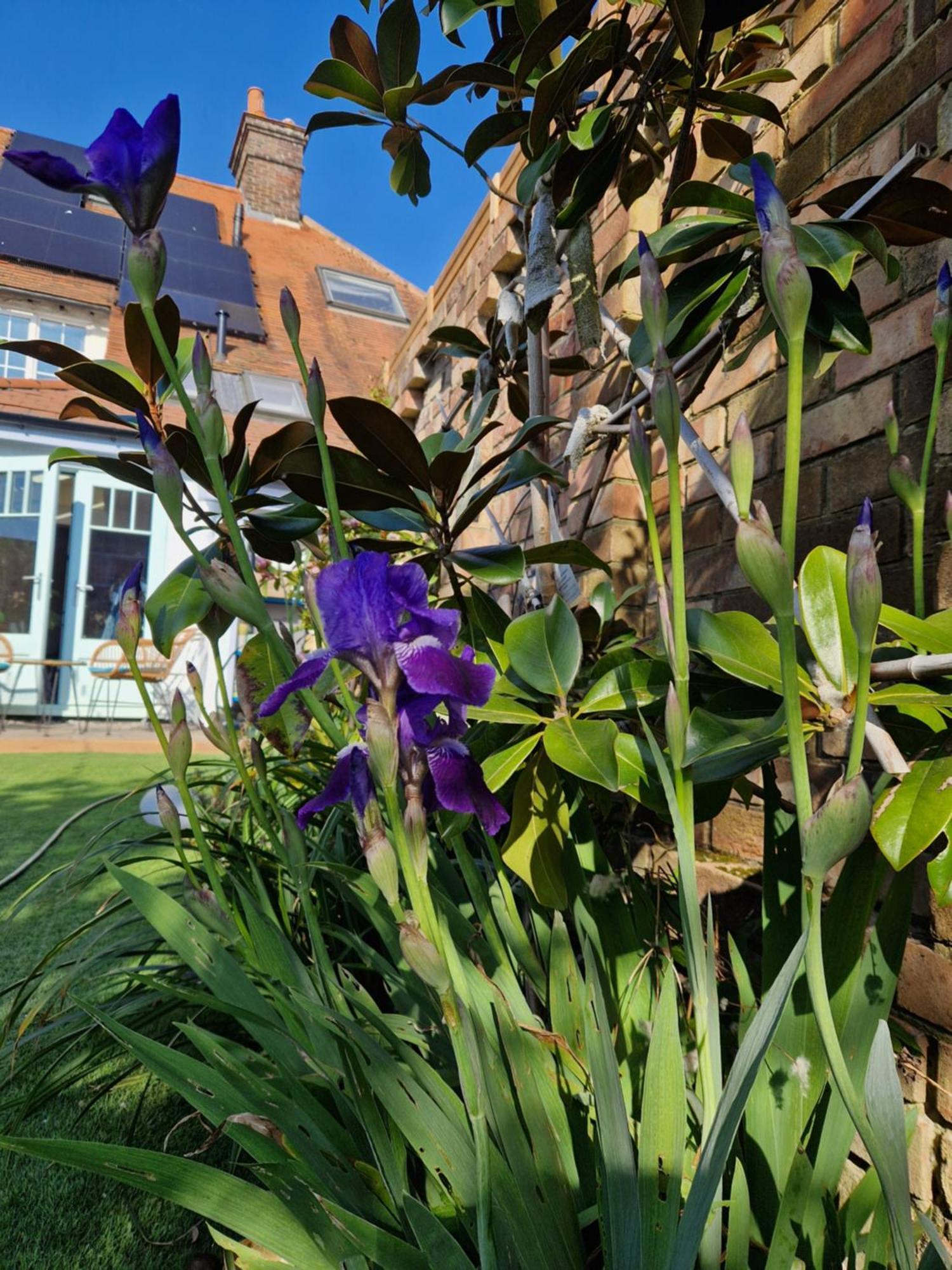 Lotus Pod House Homestay Horsell Esterno foto